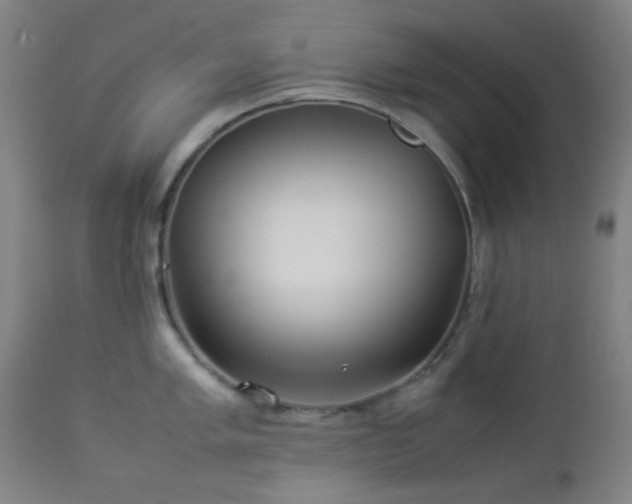 X0000112871005200908211422