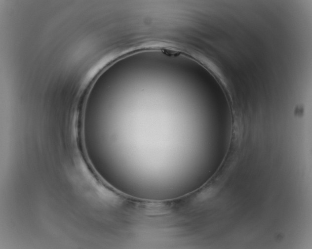 X0000112871007200908211422