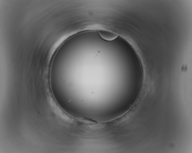 X0000112871008200908211422