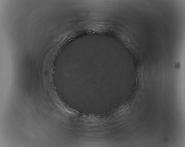 X0000112871009200908211421