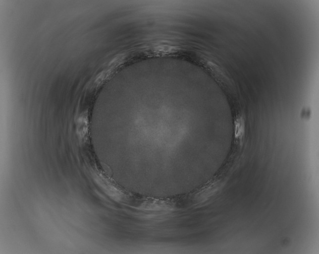 X0000112871011200908211421