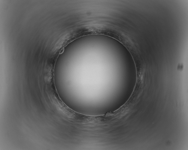 X0000112871012200908211421