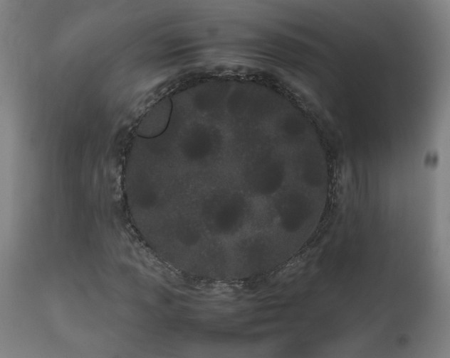 X0000112871013200908211421