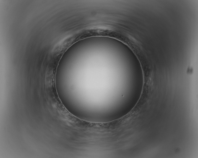 X0000112871014200908211421