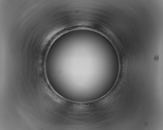 X0000112871019200908211421