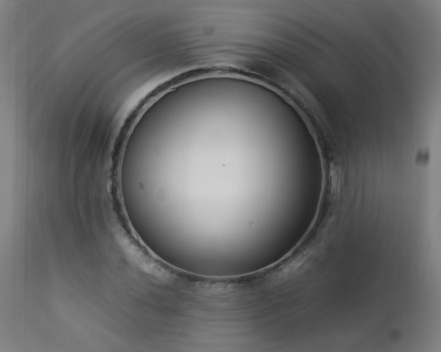 X0000112871020200908211421