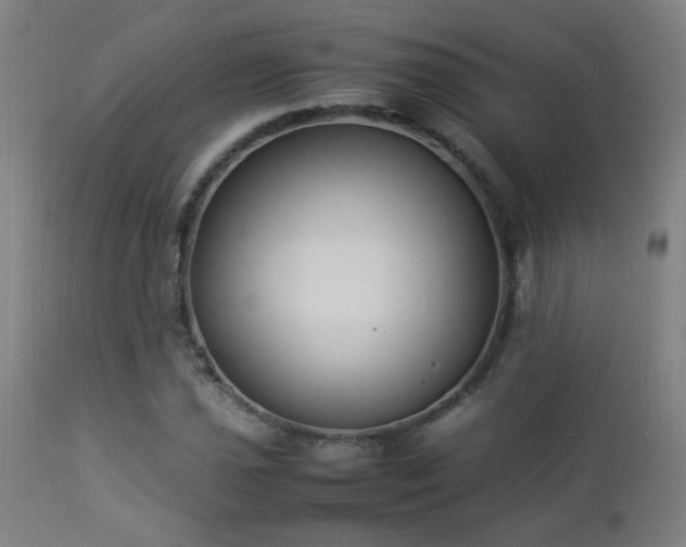 X0000112871021200908211421