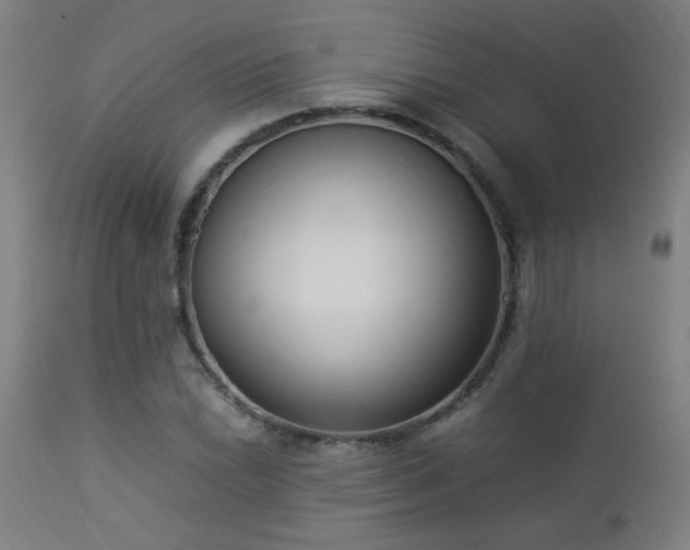 X0000112871022200908211421
