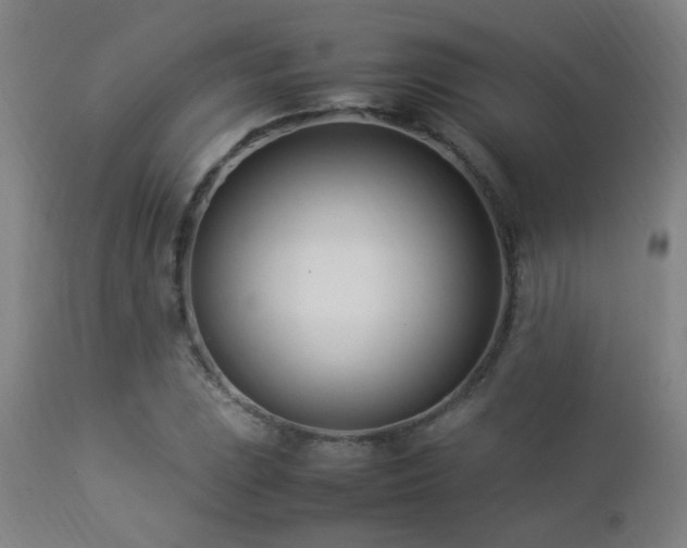 X0000112871023200908211421