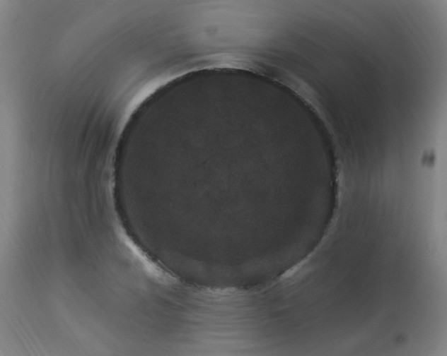 X0000112871024200908211421