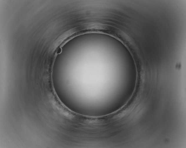 X0000112871025200908211421