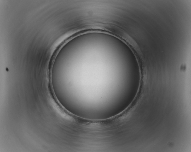X0000112871028200908211421
