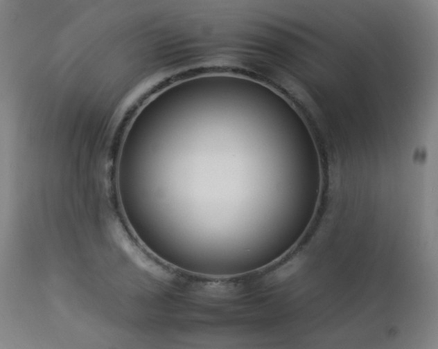 X0000112871029200908211421