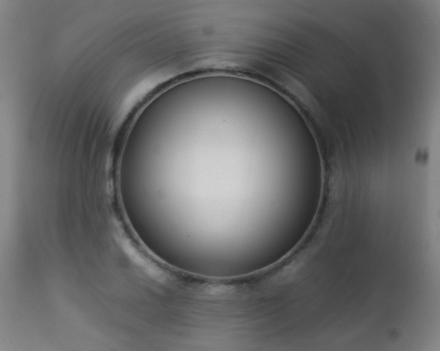 X0000112871030200908211421