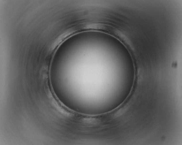 X0000112871033200908211421