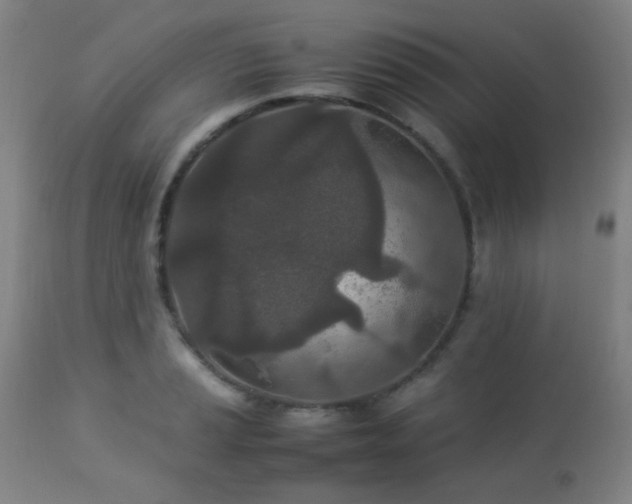 X0000112871037200908211421