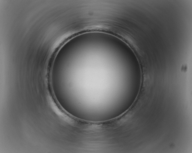 X0000112871038200908211421