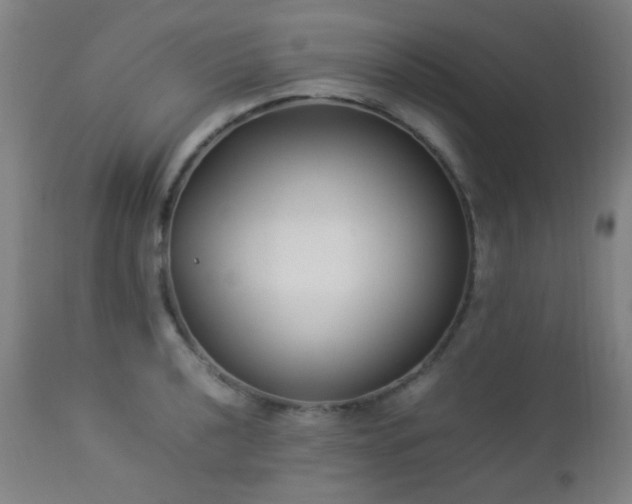 X0000112871040200908211421