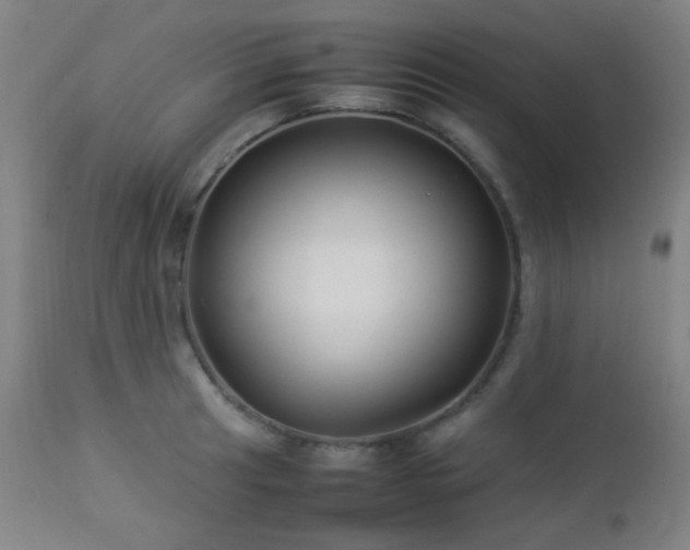 X0000112871041200908211421