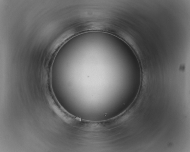 X0000112871042200908211421