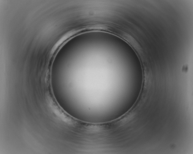 X0000112871044200908211421