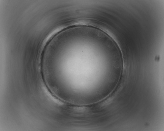 X0000112871045200908211422