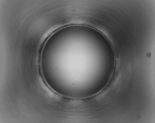 X0000112871046200908211422