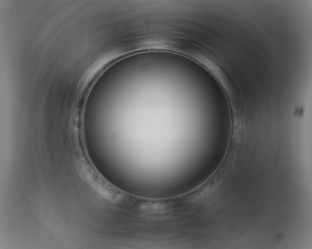 X0000112871051200908211422