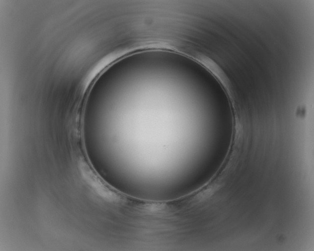 X0000112871052200908211422
