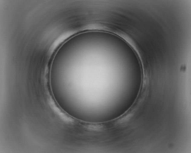 X0000112871053200908211422