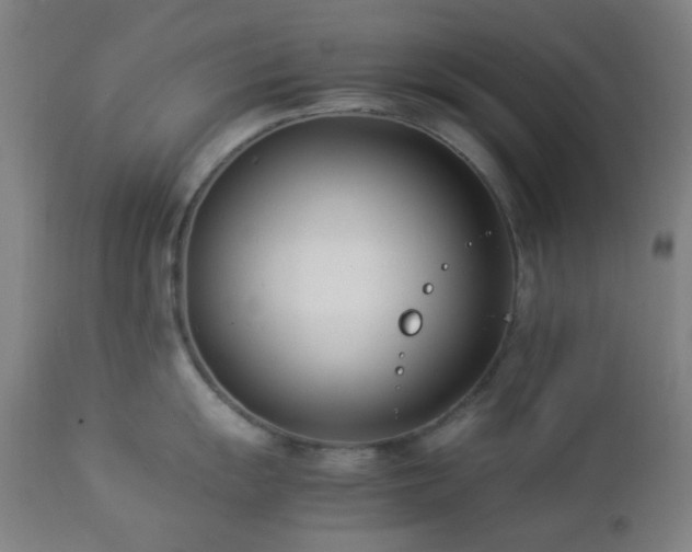 X0000112871055200908211422