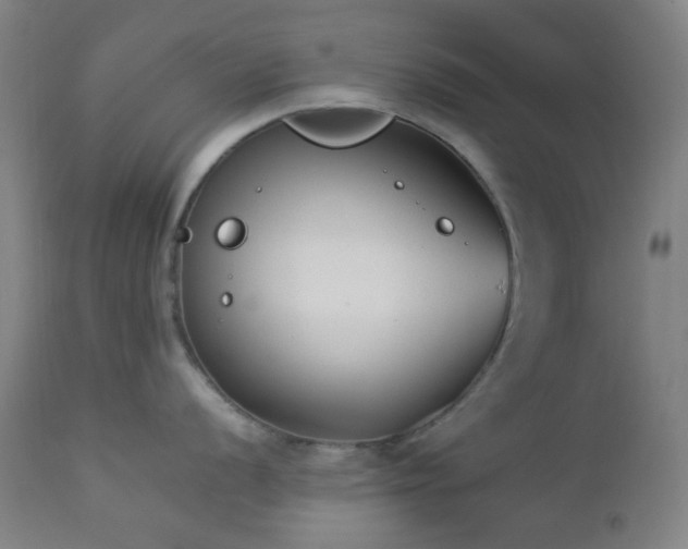 X0000112871056200908211422