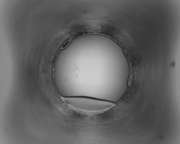 X0000112871057200908211421