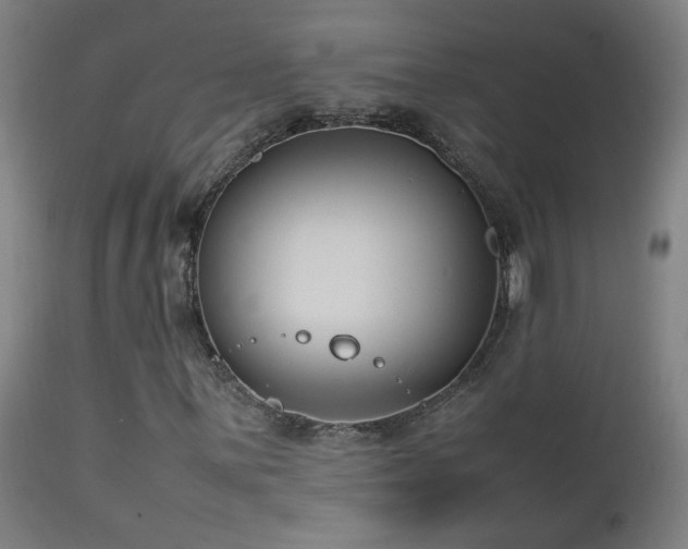 X0000112871059200908211421