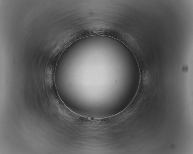X0000112871060200908211421