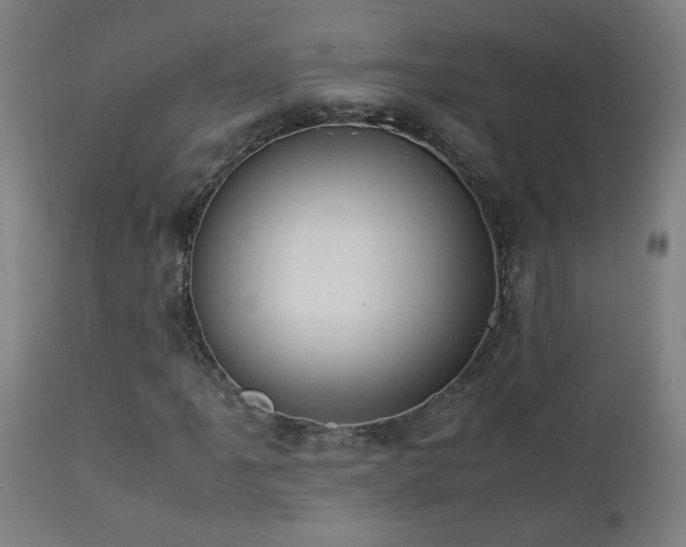 X0000112871061200908211421