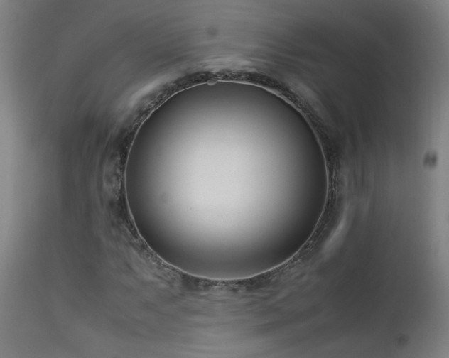 X0000112871063200908211421