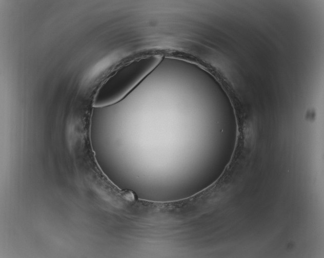 X0000112871064200908211421
