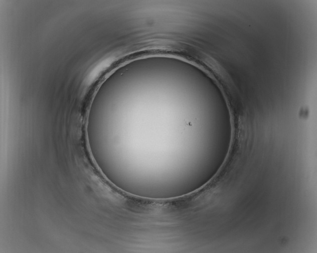 X0000112871067200908211421
