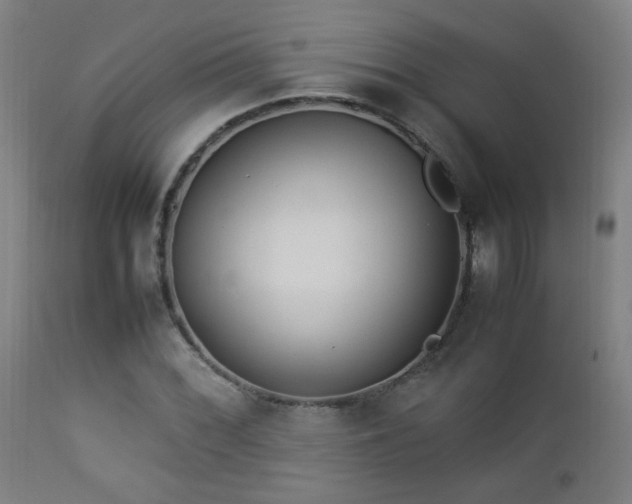 X0000112871068200908211421