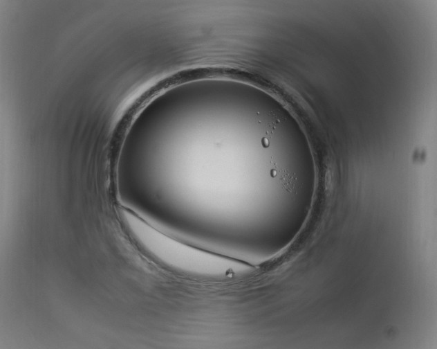 X0000112871069200908211421