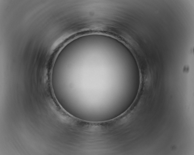 X0000112871070200908211421