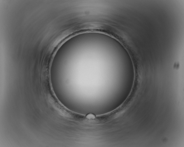 X0000112871073200908211421
