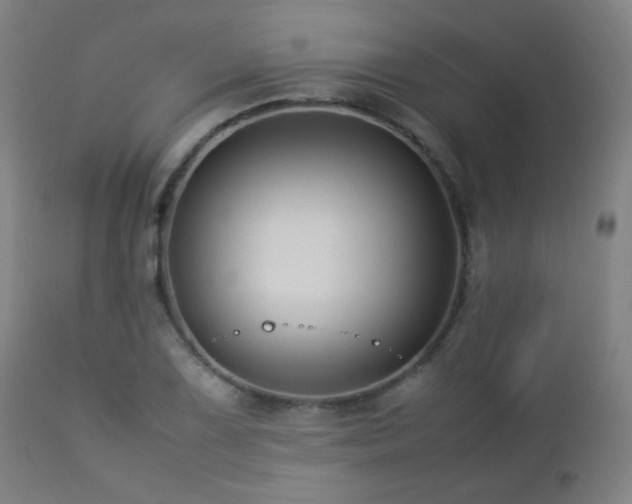 X0000112871075200908211421