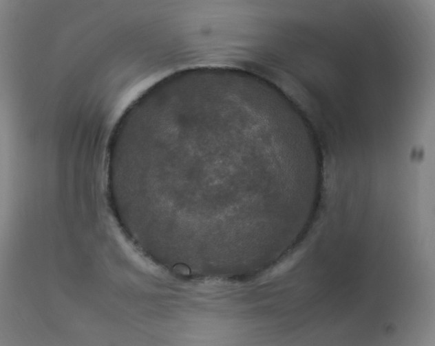 X0000112871077200908211421