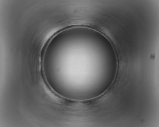 X0000112871079200908211421