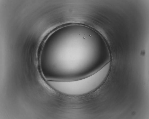 X0000112871080200908211421