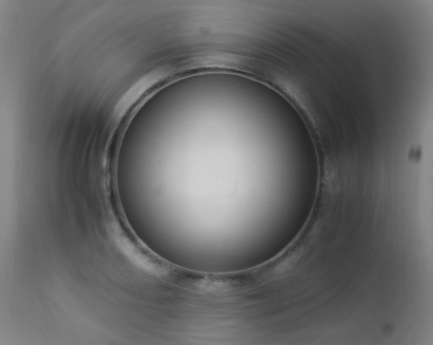 X0000112871082200908211421