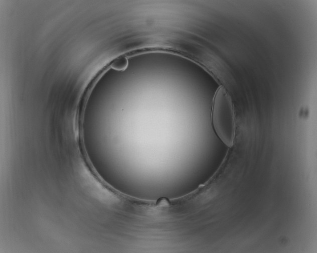 X0000112871084200908211421