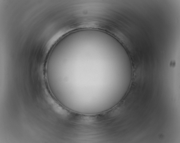 X0000112871086200908211421